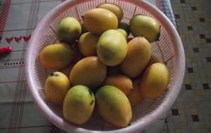 Mango Zécodinde