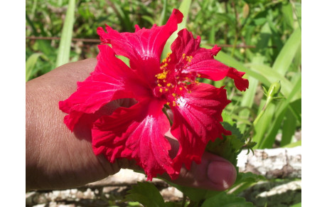 Soirée du 31 décembre 2022